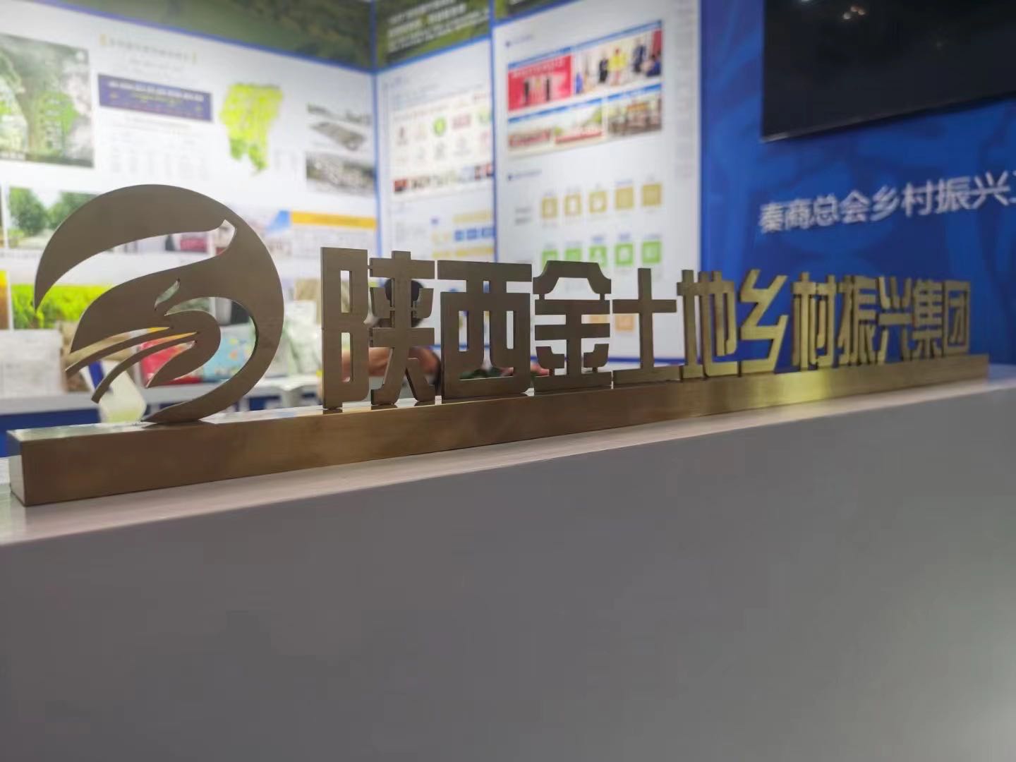 秦商总会乡村振兴工作委员会精彩亮相第六届丝博会(图3)