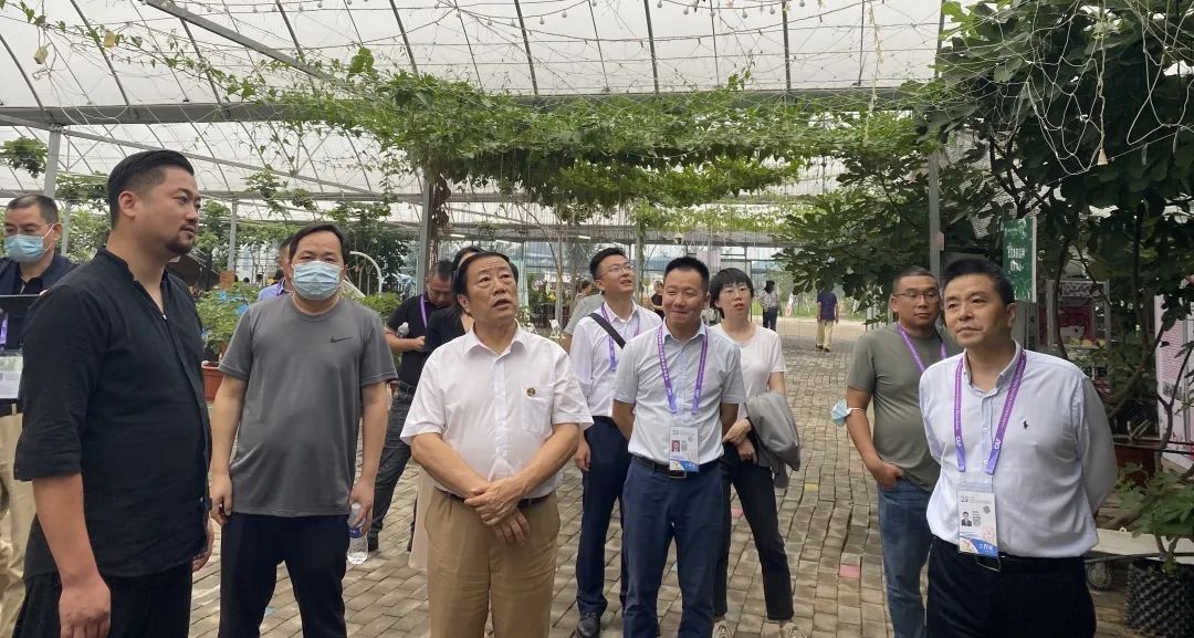 秦商总会乡村振兴工作委员会走进杨凌(图5)