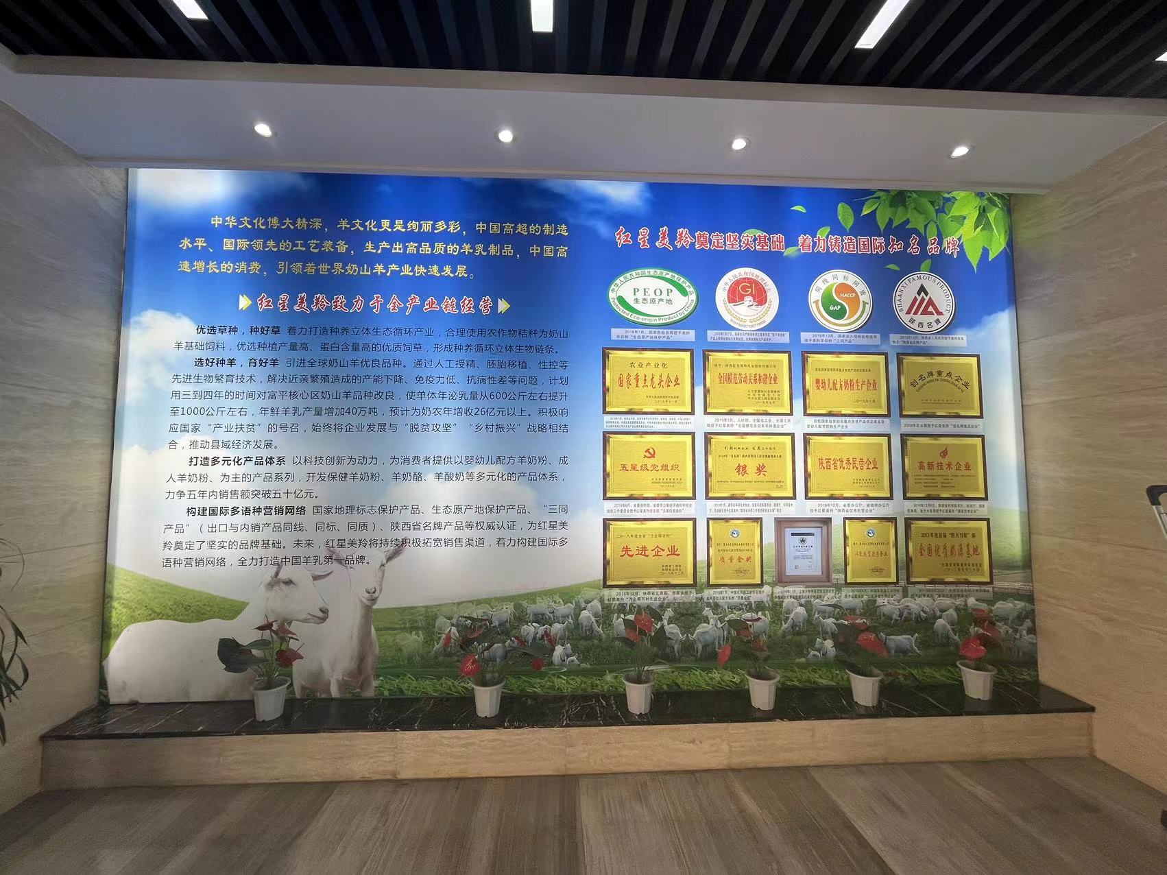 走进企业专题报道（五）——陕西红星美羚乳业股份有限公司(图2)