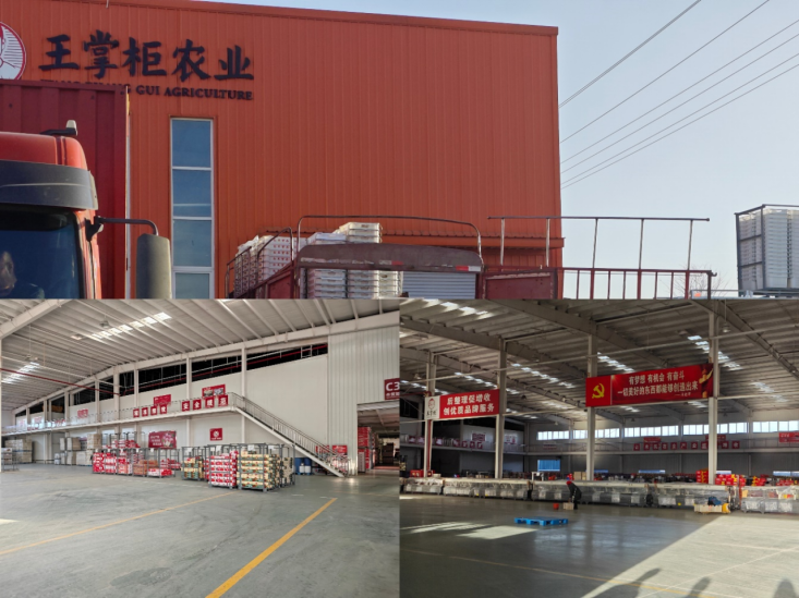 秦商总会乡村振兴工作委员会受邀走进洛川县老庙镇，开展“联动会员企业，赋能老庙全域，助力乡村振兴”考察交流活动(图11)