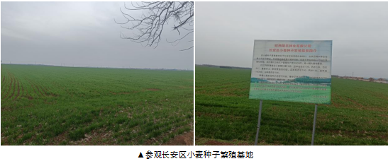 政社联姻，秦商赋新能‖ 受长安砲里街办邀请，工委会走进长安砲里，赋能乡村振兴(图7)
