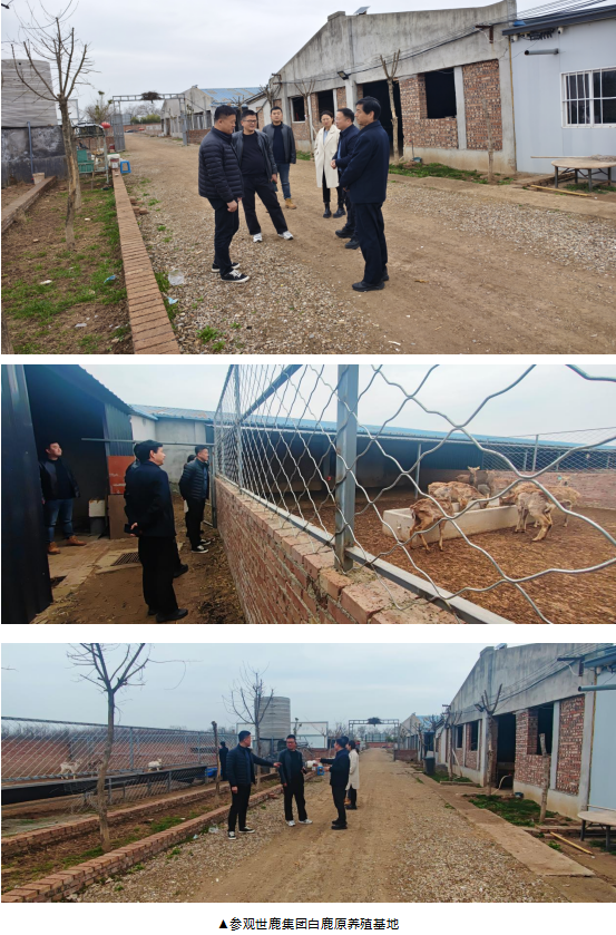 政社联姻，秦商赋新能‖ 受长安砲里街办邀请，工委会走进长安砲里，赋能乡村振兴(图8)