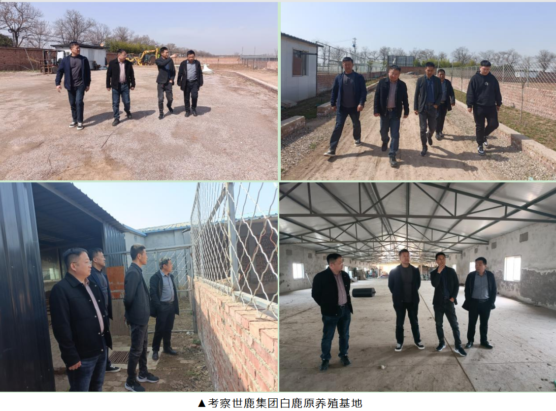政社企联姻，秦商赋新能‖ 整合优势资源，服务会员企业，精准高效匹配， 助推产业落地，实现产业振兴(图8)